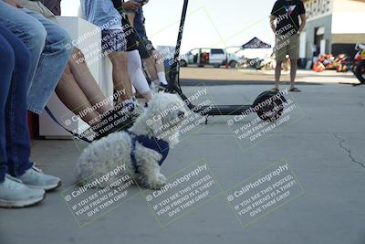 media/Oct-04-2025-Classic Track Days (Sat) [[b9f2049d9d]]/Award Photos/